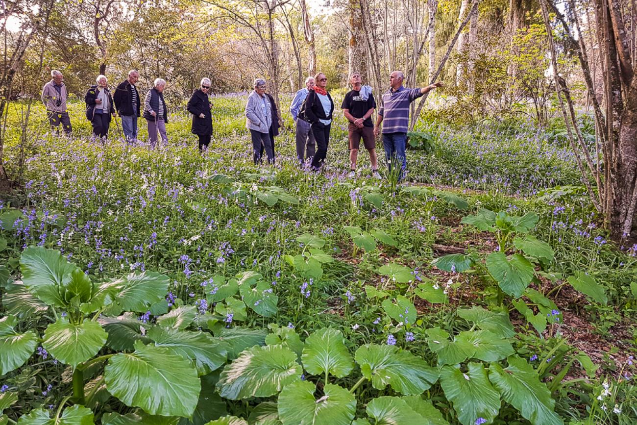 Exploring the gardens at Gwavas Homestead