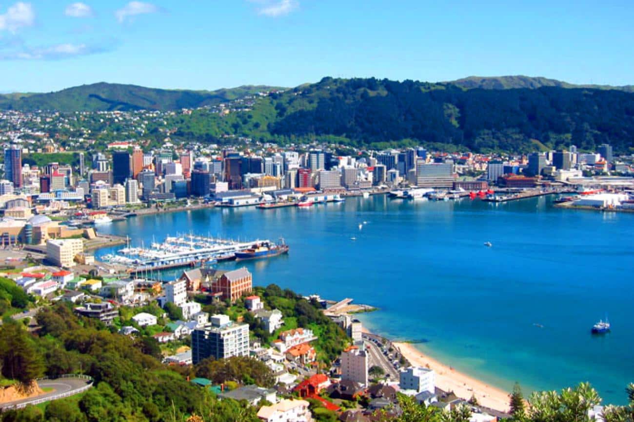 Wellington from Mt Victoria