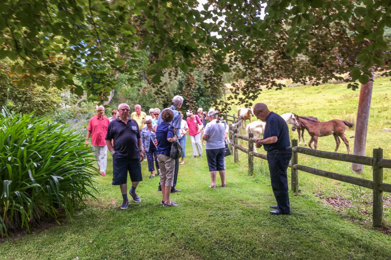 Exploring Mairenui Farm near Mangaweka