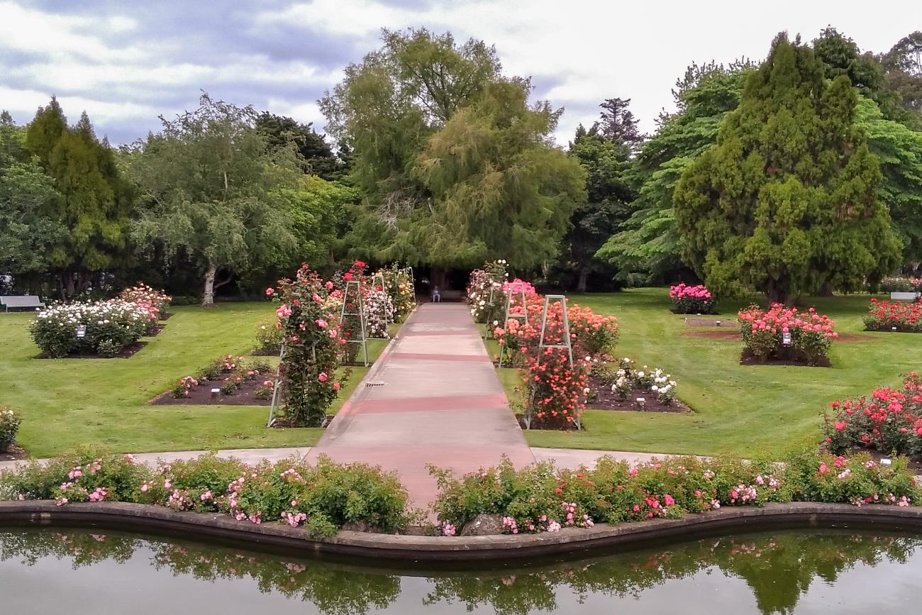 Dugald Mackenzie Rose Garden in Palmerston North