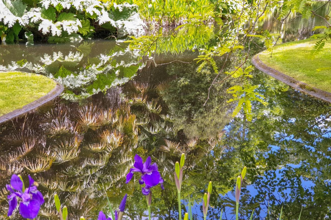 Lansdale's ponds create amazing reflections