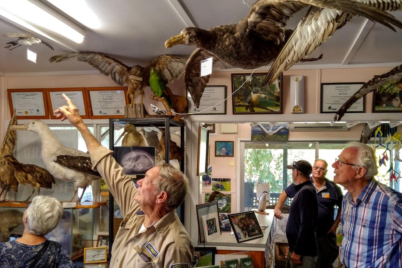 At the Native Bird Recovery Centre