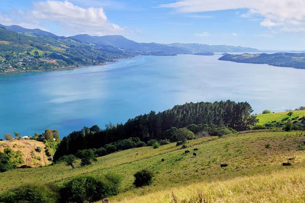 alt="Taking the high road - views over Otago Harbour"