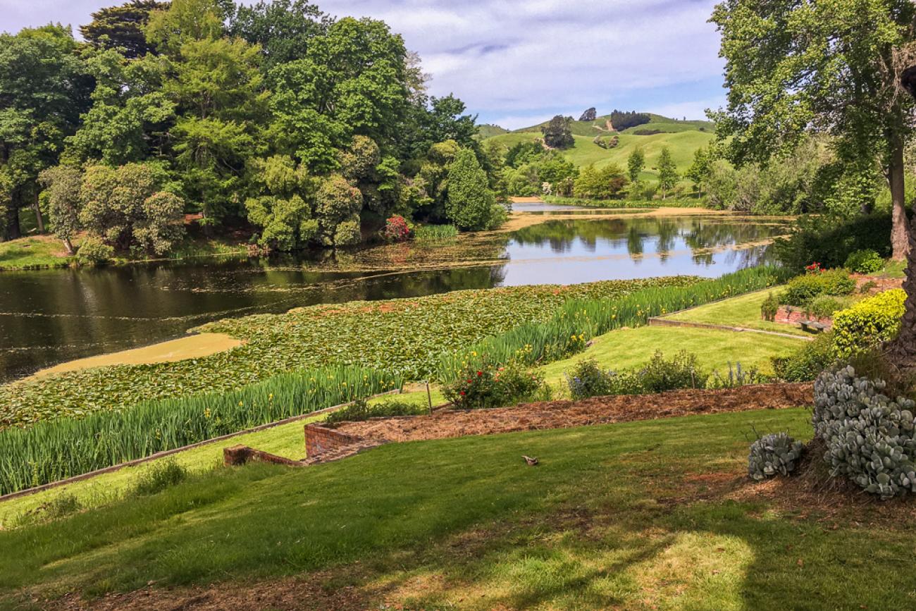 The gardens and hand-dug pond at Te Parae Homestead