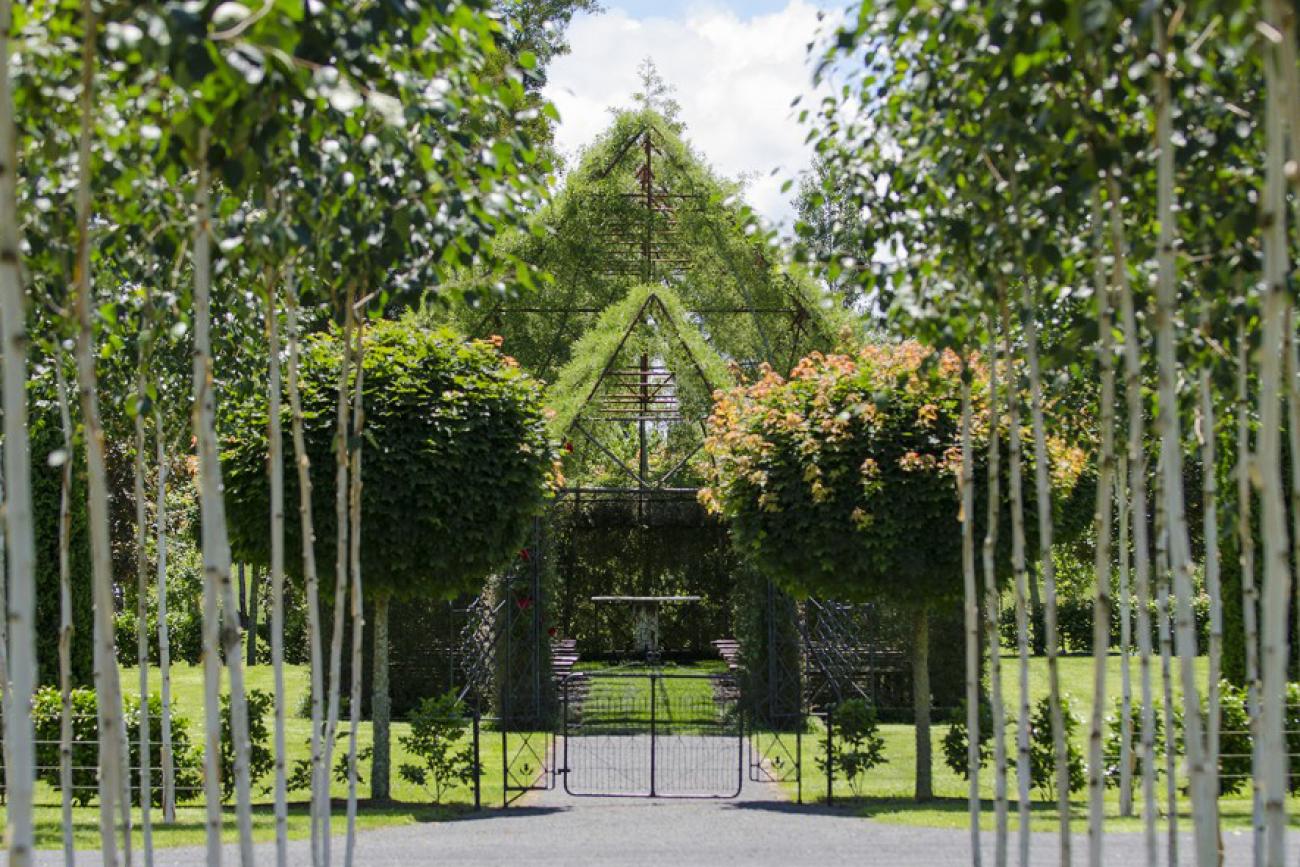 A visit to the TreeChurch in Ohaupo