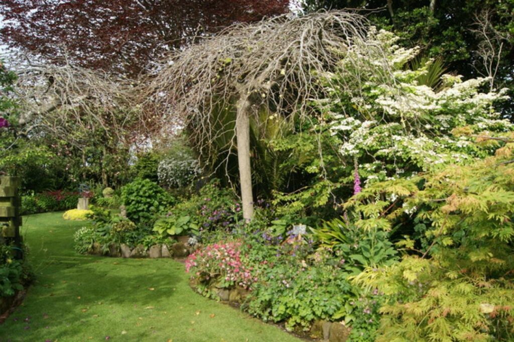 Elaine Sanderson's Garden in Hawera