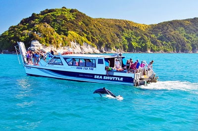 Dolphin Cruise in Abel Tasman National Park - MoaTrek FAQ