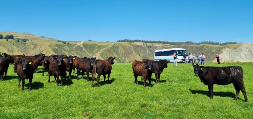 Join Kiwi Guide Tim as he experiences the outstanding locations and people on our newest tour.