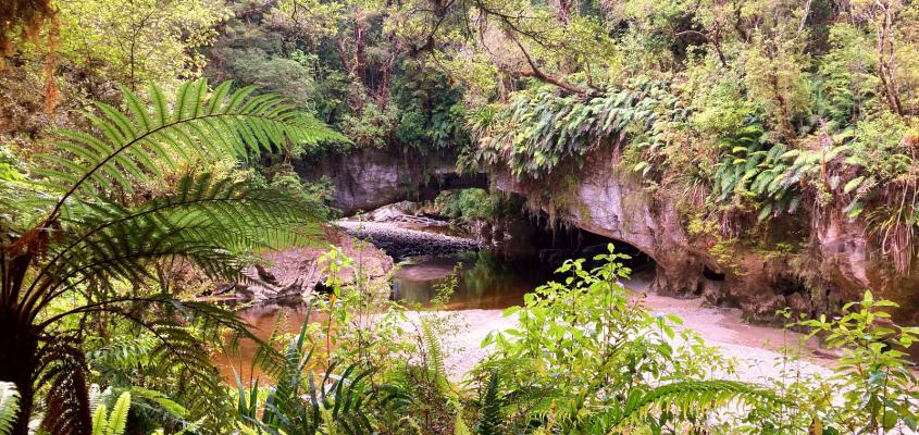 Opurara Basin Caves are a highlight on this tour