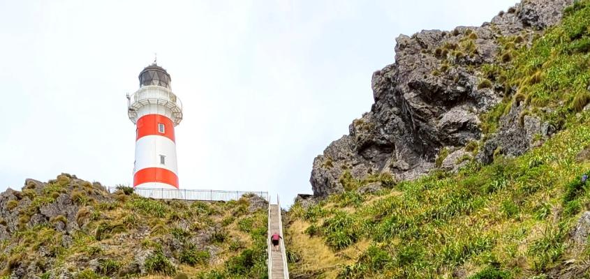 Climbing the steps to Cape Palliser Lighthouse