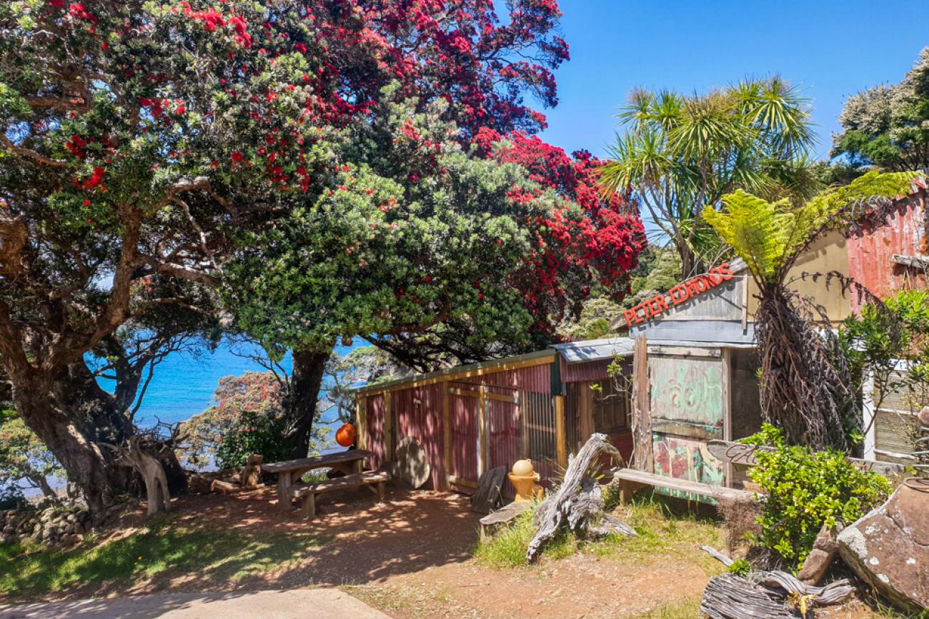 The Black Cow Gallery, Great Barrier Island