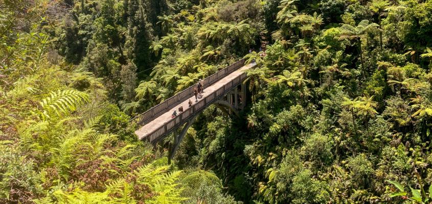 Aerial views of the Bridge to Nowhere on the Whanganui River