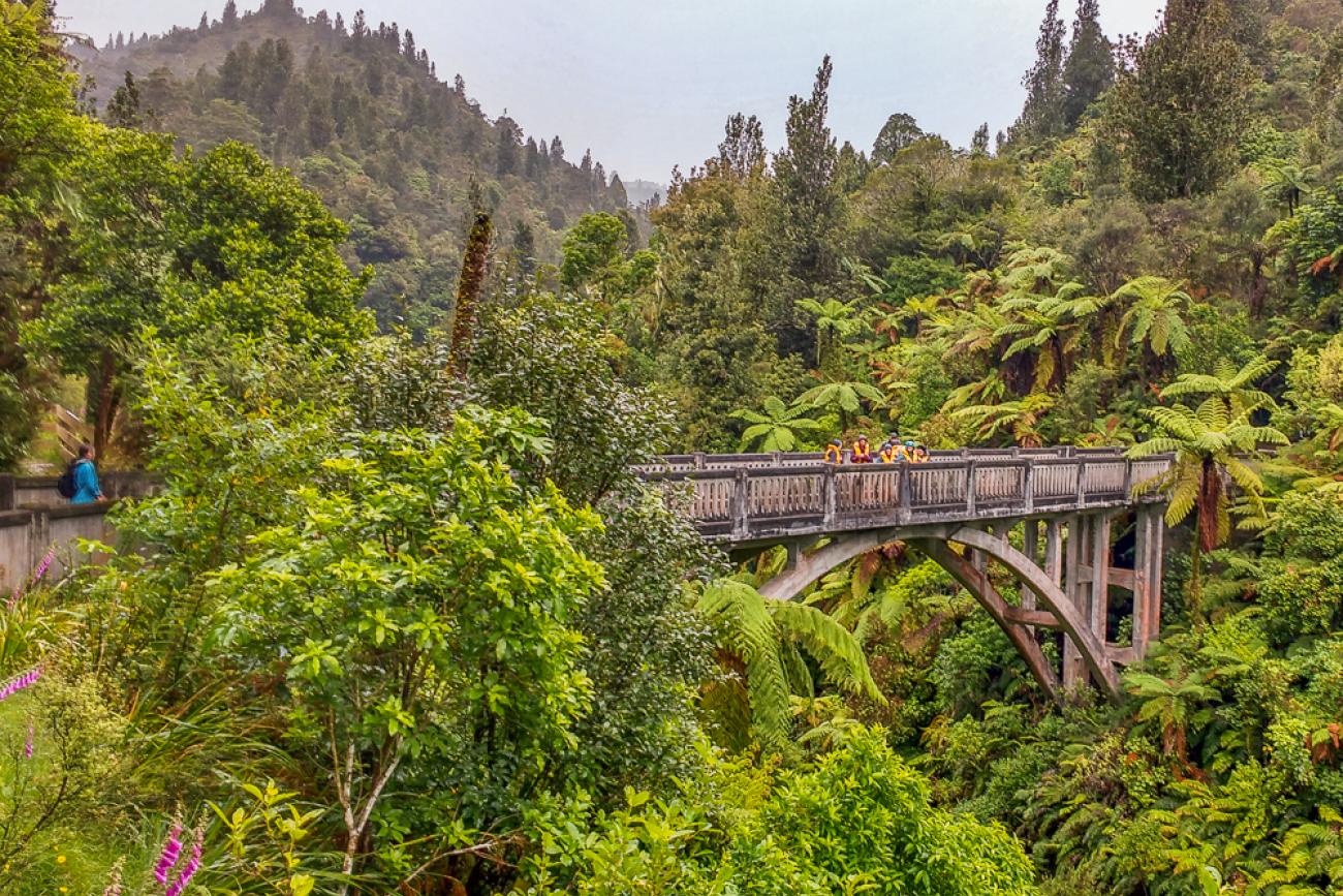 MoaTours guests on the Bridge to Nowhere