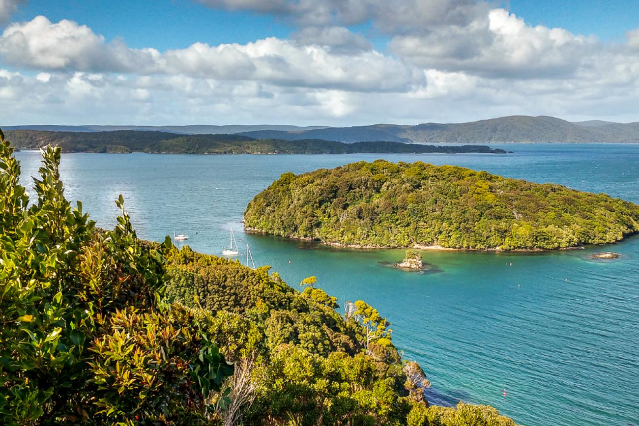 Stewart Island view