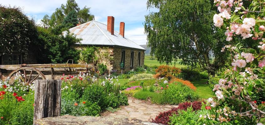 Rayleen McNally's garden in Poolburn