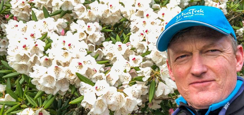 MoaTours Kiwi Guide Andre with Taranaki Rhododendrons in flower