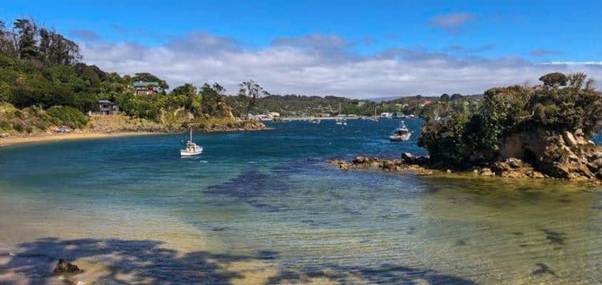 Halfmoon Bay and Oban, Stewart Island