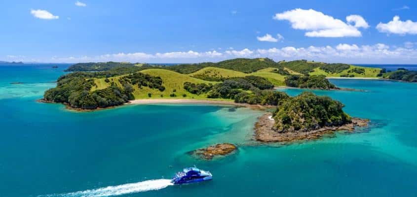 Small boat scenic cruise in the Bay of Islands