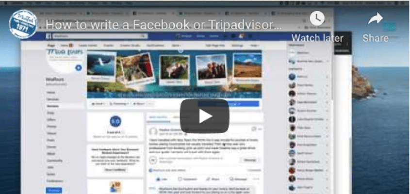 How to write a Facebook or Tripadvisor review for MoaTours