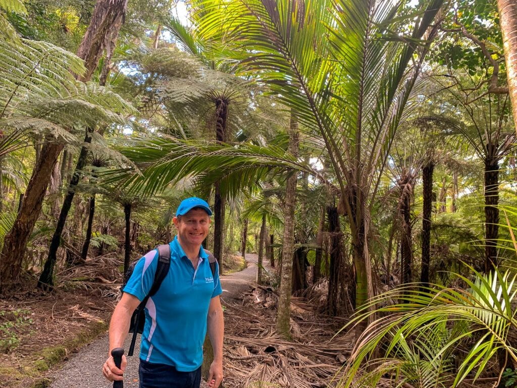 MoaTours guide Andrew walking in Nikau Forest